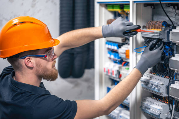 Best Electric Panel Repair  in Franklin, TX